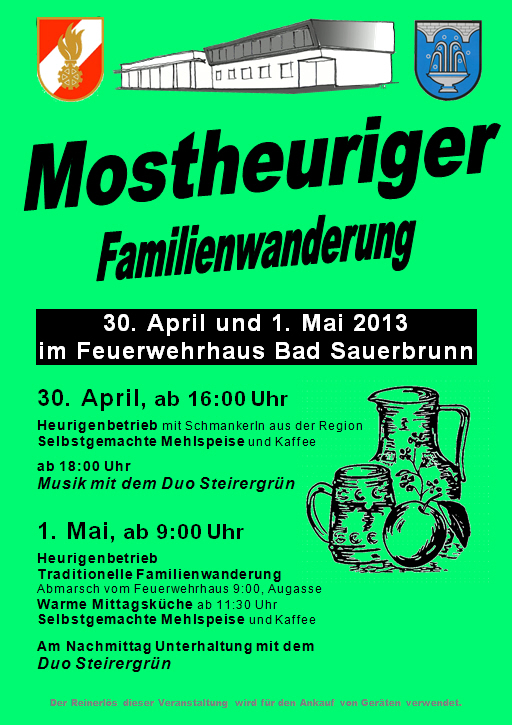 Plakat 2013 grün