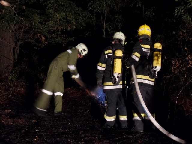 20150809 Waldbrand Neudoerfl2