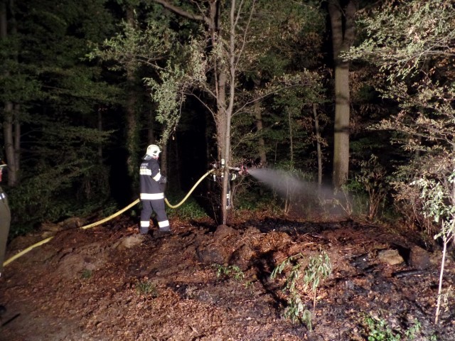 Waldbrand B2 bei Neudörfl (09.08.2015)