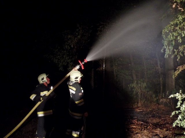 20150809 Waldbrand Neudoerfl4