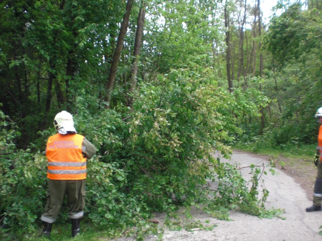 Verspäteter Sturmschaden (26.04.2017)