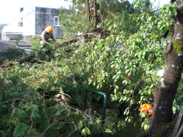 Sturmschäden im Ort (11.08.2017)