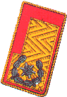 Dienstgrad_Landesbranddirektorstellvertreter Dienstgrad_Landesbranddirektorstellvertreter